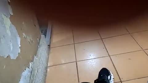 Snapshot of chancherman chatting on January 10, 2026, 4:25 am chancherman online show from January 10, 2026, 4:25 am