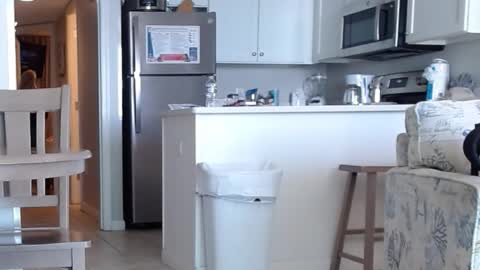 charleyandsmokie online show from October 31, 2025, 5:58 pm