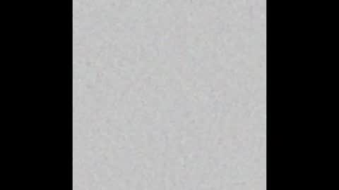 Charlotte online show from February 7, 2026, 7:28 pm