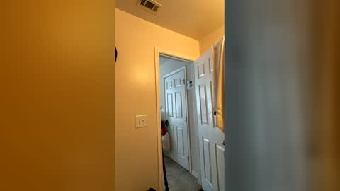 Snapshot of chase2attract chatting on March 4, 2026, 6:03 pm Chase2Attract online show from March 4, 2026, 6:03 pm