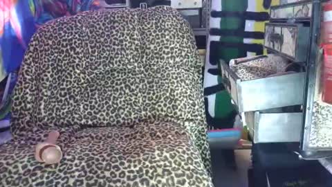 Sah009XXX online show from March 7, 2026, 9:50 am