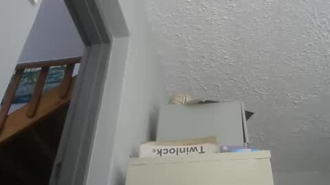 chaturbatordeluxe online show from December 21, 2025, 5:47 am