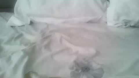 chatusandy26 online show from February 14, 2026, 7:05 am