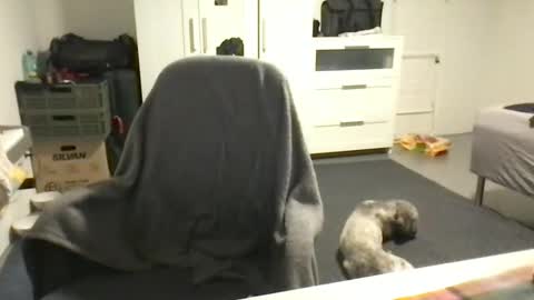 cheftoti online show from February 16, 2025, 7:05 pm