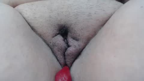 Cheila online show from January 10, 2026, 3:03 pm