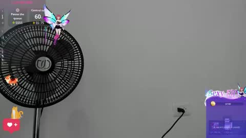 Samy Perez online show from February 17, 2026, 7:09 pm