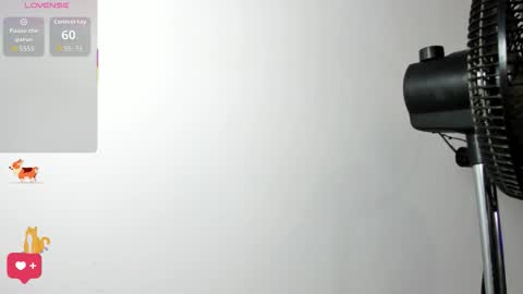 Samy Perez online show from February 22, 2026, 7:23 pm