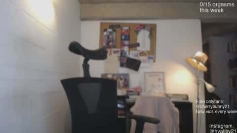 Snapshot of cherrybunny21 chatting on April 28, 2026, 2:27 am Sarah Prez online show from April 28, 2026, 2:27 am