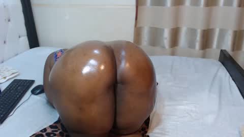 chocolatabig online show from November 7, 2025, 7:30 am