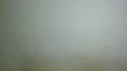 Snapshot of chocolatebony_ chatting on January 22, 2025, 10:05 pm chocolatebony_ online show from January 22, 2025, 10:05 pm