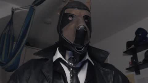 Snapshot of chrisdan_ chatting on February 16, 2025, 12:30 am chrisdan_ online show from February 16, 2025, 12:30 am