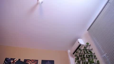 Christopher Black online show from December 17, 2025, 1:06 pm