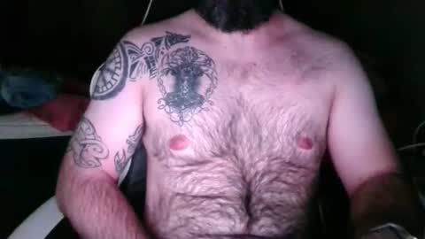 chub bear 99 online show from May 16, 2026, 2:19 am
