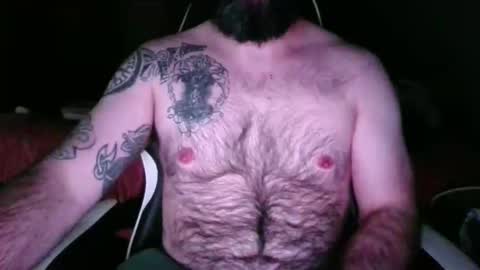 chub bear 99 online show from May 17, 2026, 2:53 am