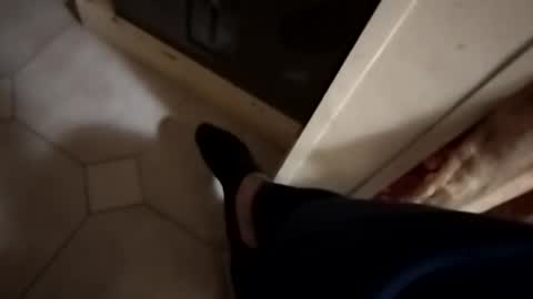 ciccilli online show from November 8, 2025, 3:50 am