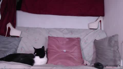 cicimom online show from January 24, 2025, 3:32 am