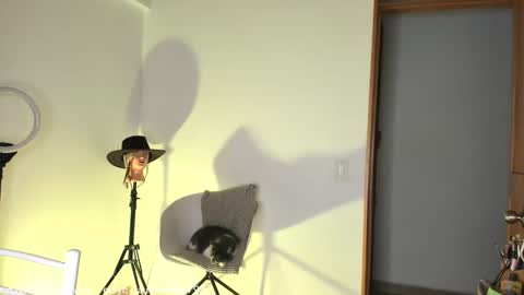 Snapshot of claudiarivera_1 chatting on October 31, 2025, 1:06 am Claudia Rivera online show from October 31, 2025, 1:06 am