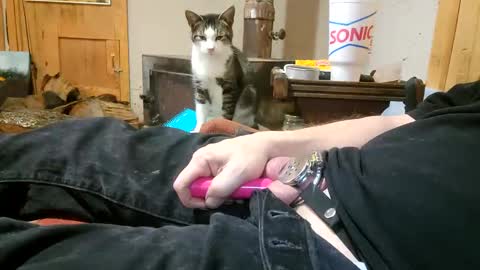 Snapshot of claygilmeriii chatting on December 18, 2024, 12:21 am Clay online show from December 18, 2024, 12:21 am