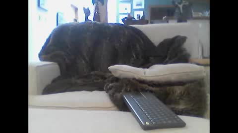 Snapshot of clitboy658752 chatting on January 14, 2026, 9:42 pm clitboy658752 online show from January 14, 2026, 9:42 pm