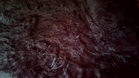 clydeninethousand online show from September 20, 2025, 4:52 pm