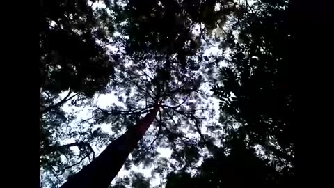 Matriarch Muse online show from January 26, 2025, 8:57 am