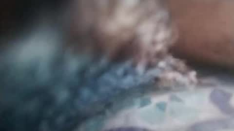 Snapshot of cojroymnamqm chatting on November 7, 2025, 5:13 pm cojroymnamqm online show from November 7, 2025, 5:13 pm