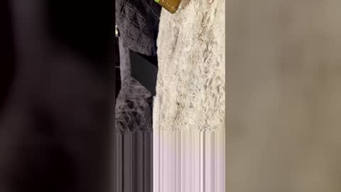 comeongirlts online show from April 27, 2026, 4:21 am