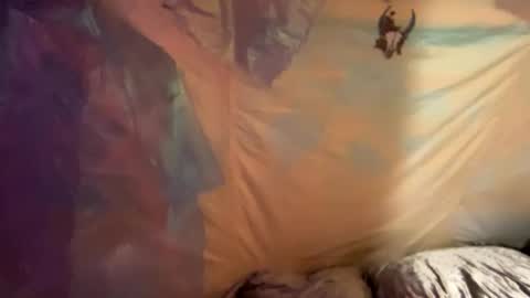 Snapshot of coochiechakrahealer chatting on December 30, 2024, 9:48 am coochiechakrahealer online show from December 30, 2024, 9:48 am