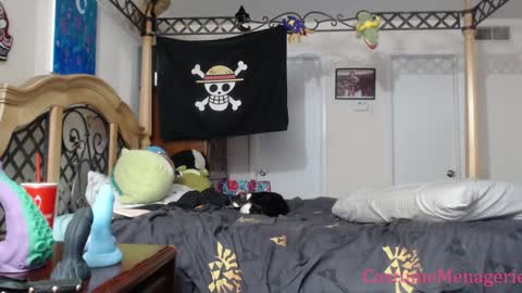 Amethyst Cox online show from January 17, 2025, 12:20 am