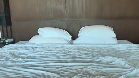 Sandra and Tom online show from January 5, 2025, 1:56 am