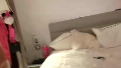 Sandra and Tom online show from February 13, 2025, 6:48 pm