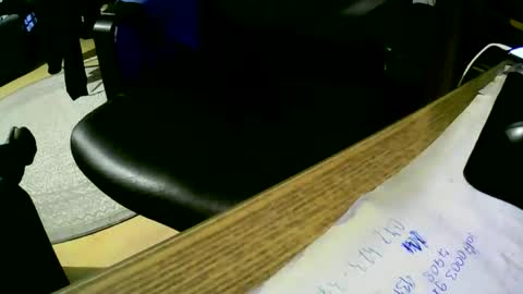 coyote017 online show from January 26, 2025, 8:57 am