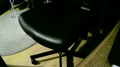 coyote017 online show from February 25, 2025, 7:14 pm