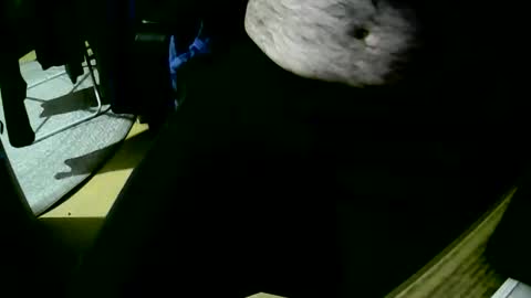 coyote017 online show from October 22, 2025, 6:18 pm