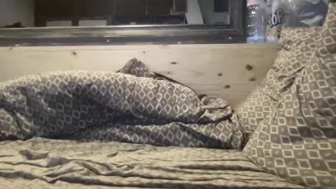 crapaud75018 online show from January 8, 2025, 6:20 am