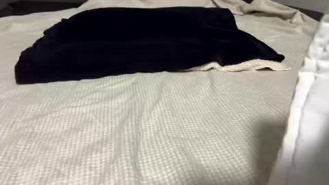 crave_me_ online show from July 11, 2026, 3:31 am