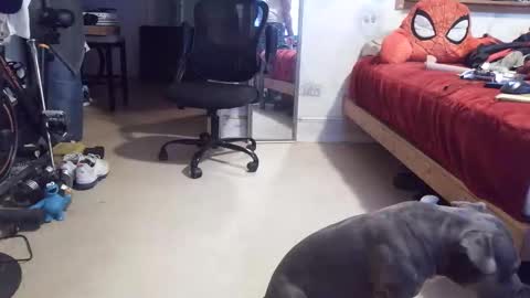 Snapshot of crazy4feetmanic chatting on April 16, 2026, 11:07 pm drbucknaked online show from April 16, 2026, 11:07 pm