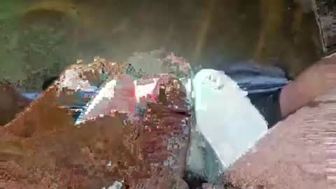 Crazycock online show from July 7, 2026, 5:06 pm