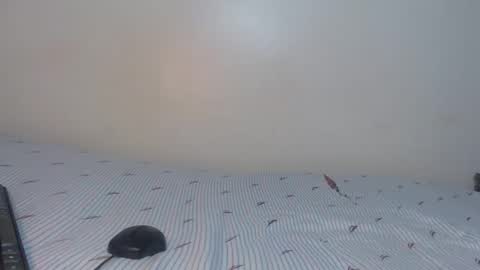 creamybabes0 online show from December 16, 2025, 5:12 am