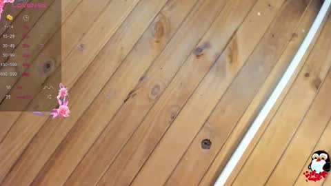 Cristal online show from January 19, 2026, 4:05 am