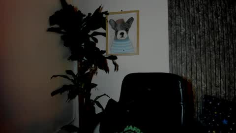 Snapshot of cristobal12cock chatting on March 29, 2026, 11:38 pm Cristian online show from March 29, 2026, 11:38 pm