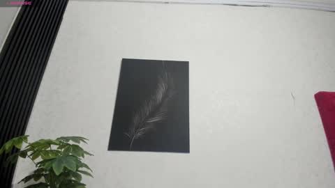 cristopher23  online show from February 2, 2025, 7:57 pm