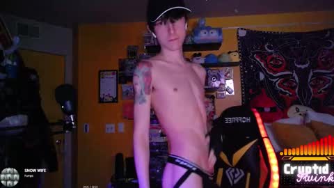 Snapshot of cryptidtwink chatting on February 19, 2026, 6:53 am CryptidTwink online show from February 19, 2026, 6:53 am