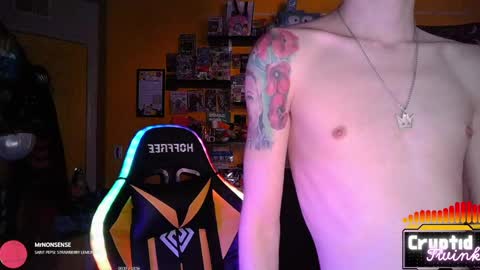 CryptidTwink online show from April 20, 2026, 6:05 am