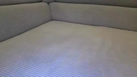 cuckold_2006 online show from April 6, 2026, 10:11 pm