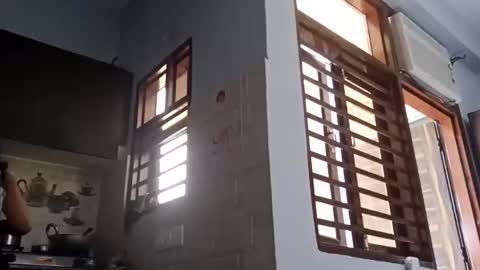 cuddlemuffins online show from March 1, 2026, 5:42 am