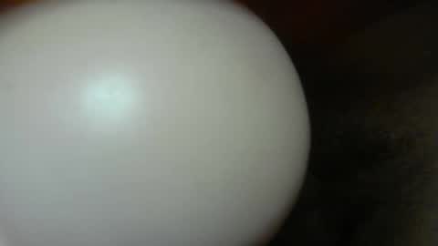 cumdr619 online show from January 8, 2026, 10:23 pm