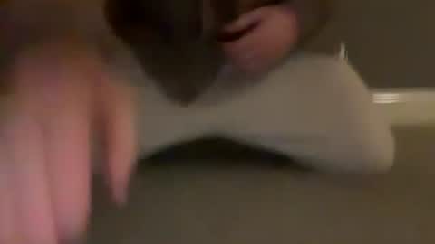 Cumfar online show from March 31, 2026, 10:54 pm