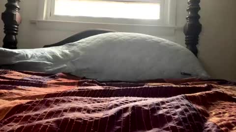 Curiousperformance online show from December 4, 2024, 1:53 pm