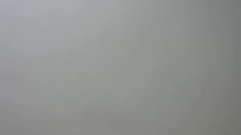 Snapshot of curvylizy chatting on June 24, 2026, 2:49 pm liz online show from June 24, 2026, 2:49 pm